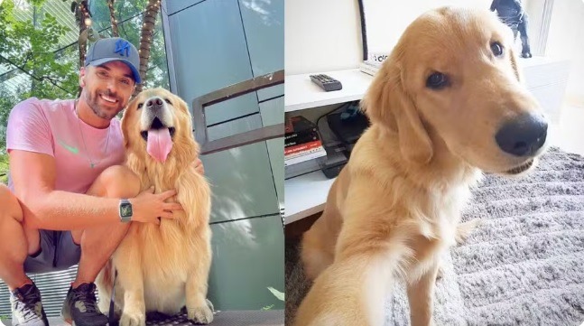 Cachorro morre após falha no transporte aéreo da Gol; animal foi levado ao estado errado