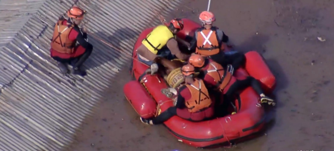 VÍDEO: Cavalo ilhado em Canoas é resgatado pelo Exército; assista