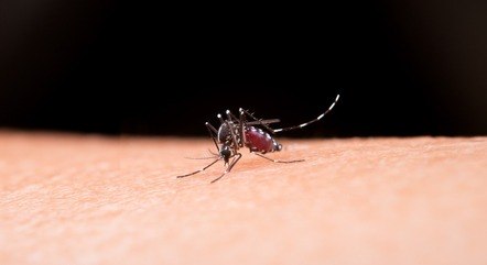 Mortes por dengue no Brasil crescem 140% em uma semana