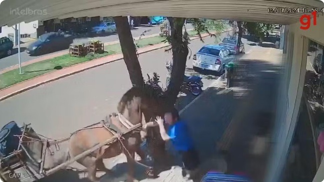 [VÍDEO] Vereador é mordido por cavalo enquanto caminhava em calçada: 'dor muito grande'