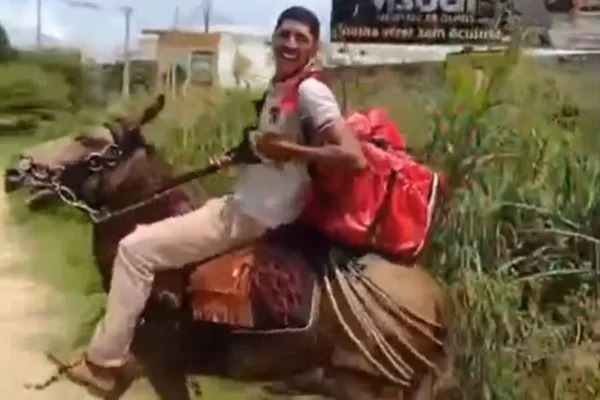 VÍDEO: Entregador trabalha montado em burro após perder moto em blitz