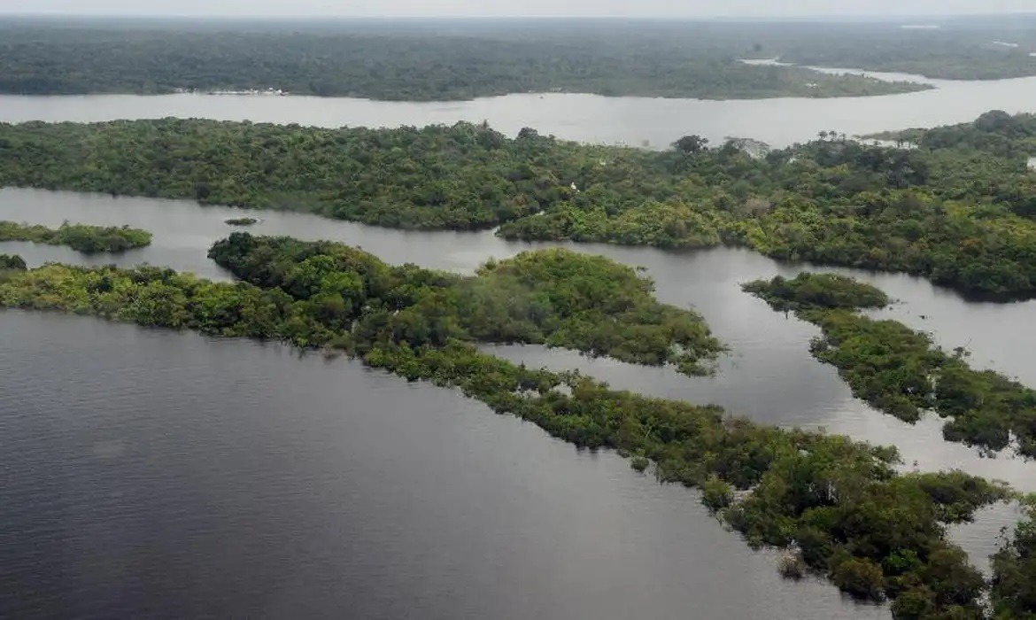 Mais de 60% das áreas da Amazônia em regeneração voltaram a ser desmatadas, apontam dados inéditos do Inpe