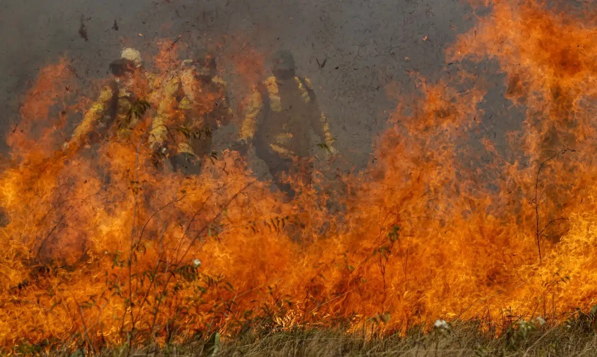 Focos de incêndio explodem no Pantanal e Cerrado e têm maior número desde 1998