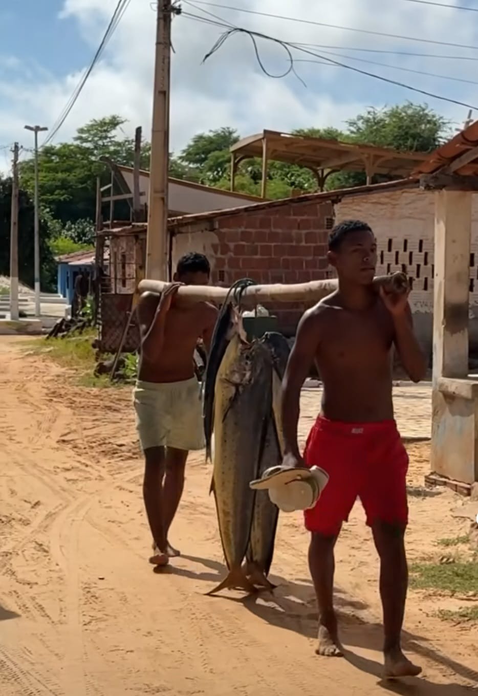 VÍDEO: Pescadores capturam peixe de 75 kg no RN