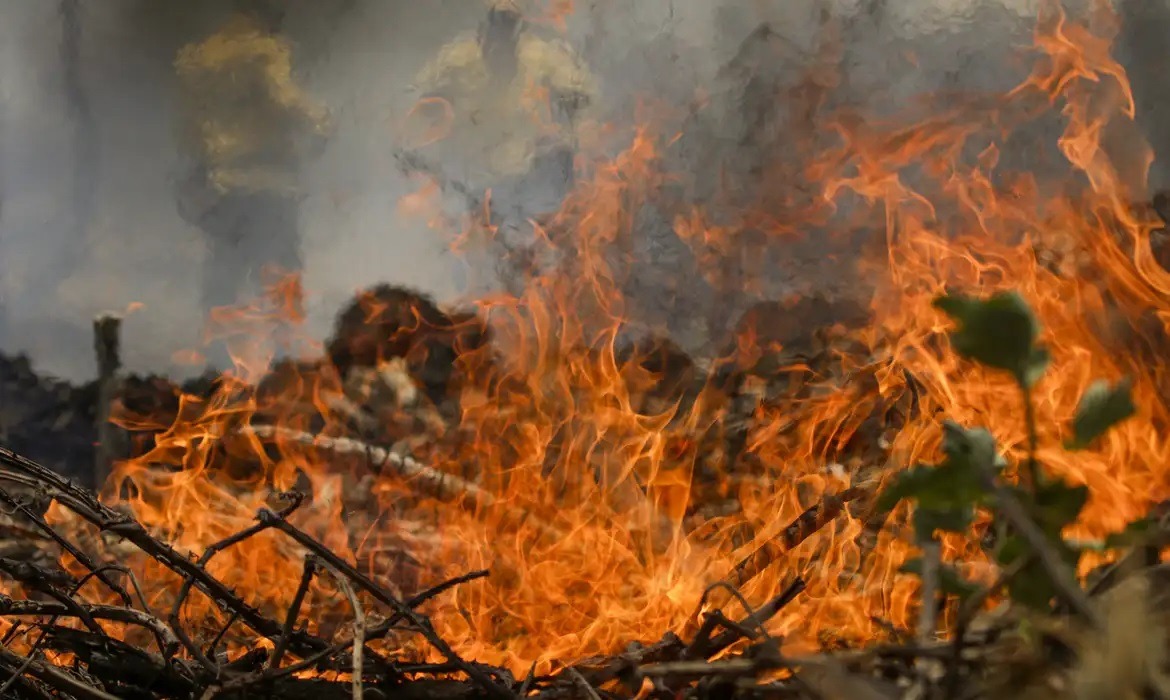 Amazônia registra recorde de incêndios em duas décadas