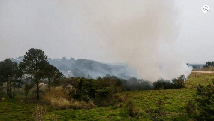 Brasil registra 5.363 focos de incêndio, quase metade na Amazônia