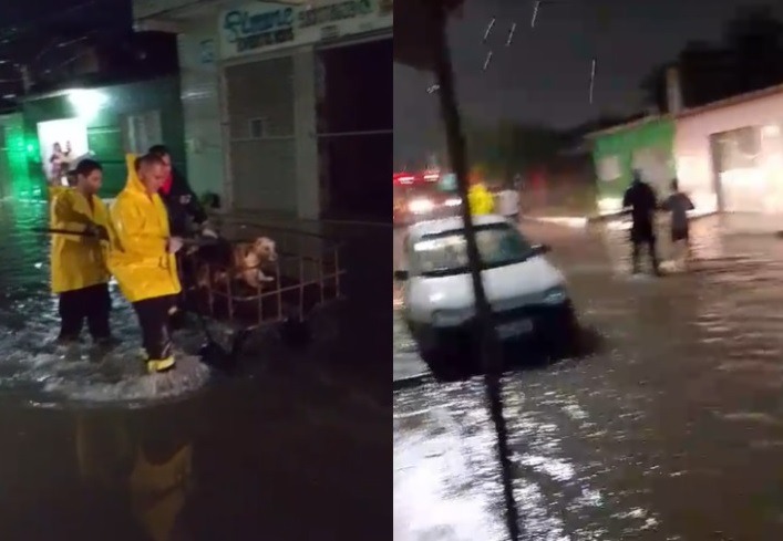 Bombeiros resgatam duas pessoas com deficiência visual e animais de alagamento em Natal