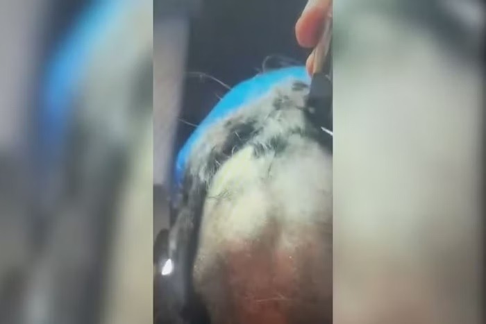 Homem sequestra, agride e raspa cabelo de ex para postar na internet