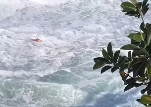VÍDEO: "Era só uma foto": turista é salva por guarda-vidas após ser arrastada por onda em praia