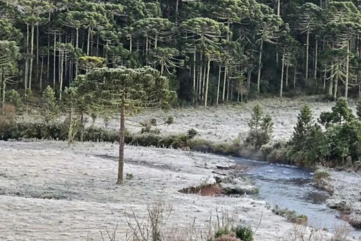 Santa Catarina tem neve, geada e 20 cidades com temperaturas negativas
