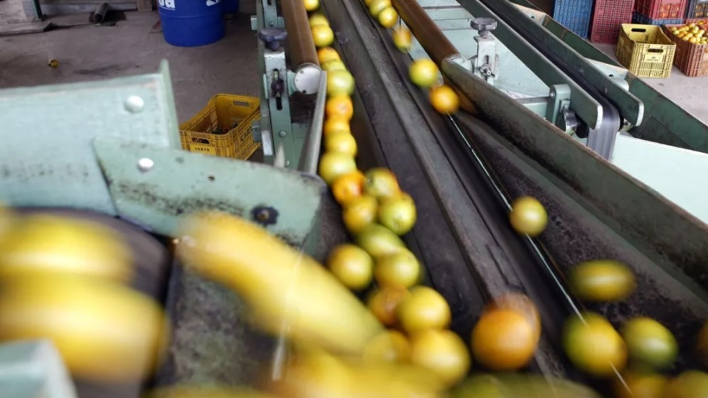 Agro prevê perdas de US$ 5,8 bilhões com tarifaço de Trump