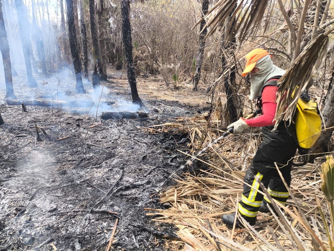 Bombeiros do RN combatem três incêndios em vegetação no município de Assu