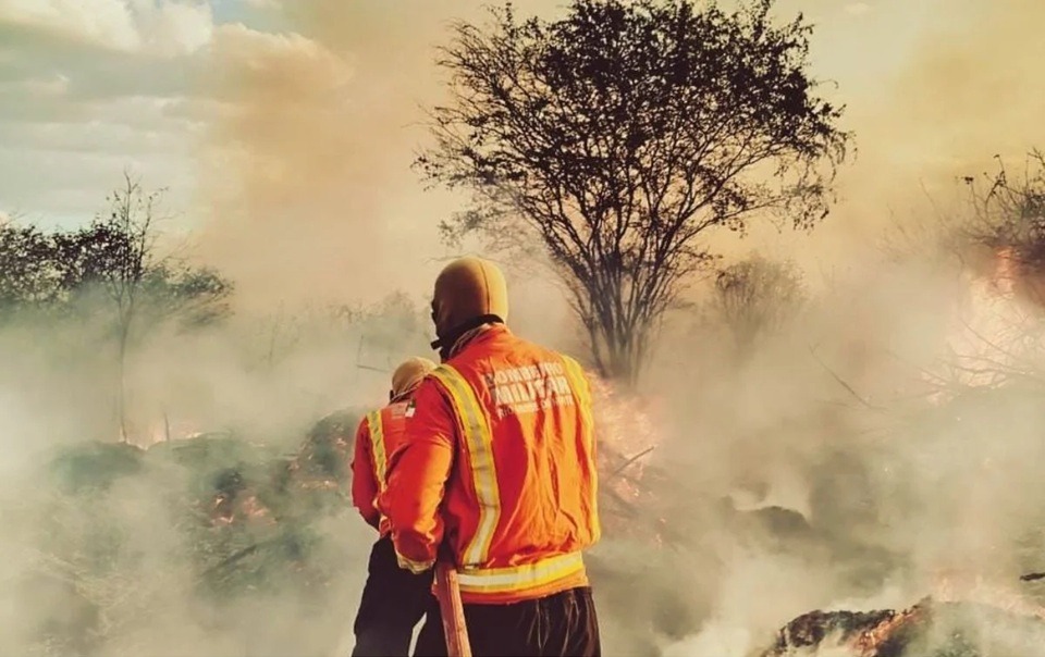 Incêndio em vegetação coloca casas em risco na região do Oeste potiguar