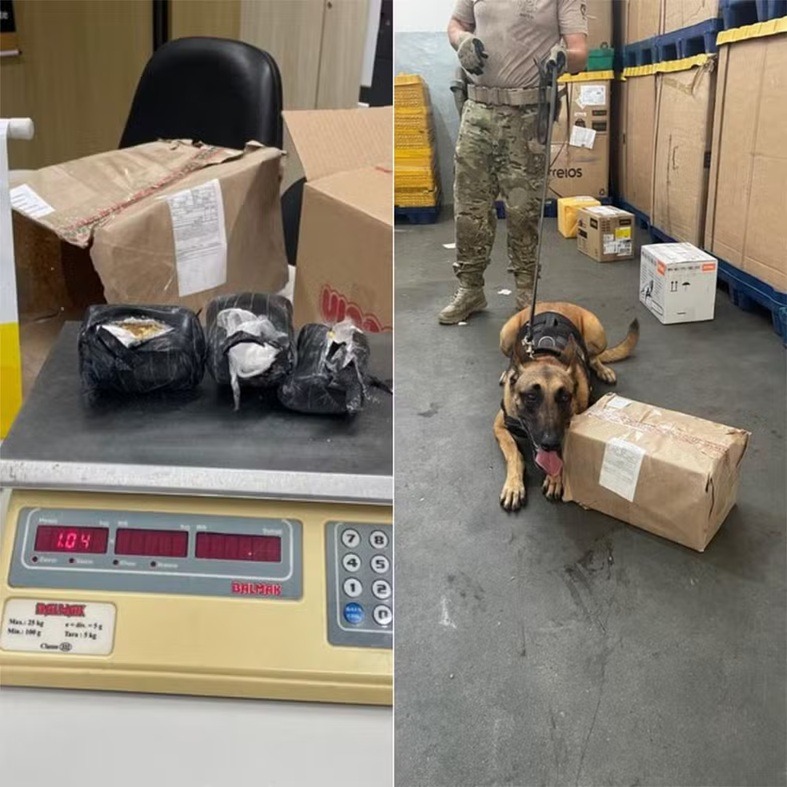 PF apreende cocaína enviada pelos Correios para Pau dos Ferros