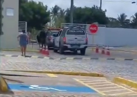 Suspeitos morrem após confronto com a PM na Grande Natal