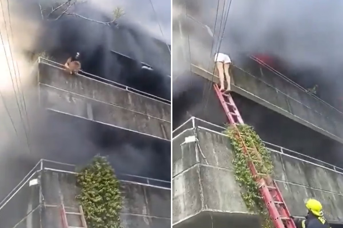 [VÍDEO] Mulher salva cães antes de escapar de prédio em chamas