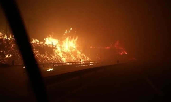 Chile declara estado de catástrofe após incêndios deixarem 16 mortos