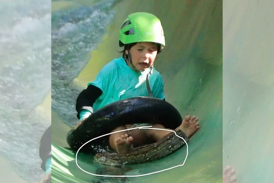 VÍDEO: Família leva susto ao ver cobra descendo toboágua com filho