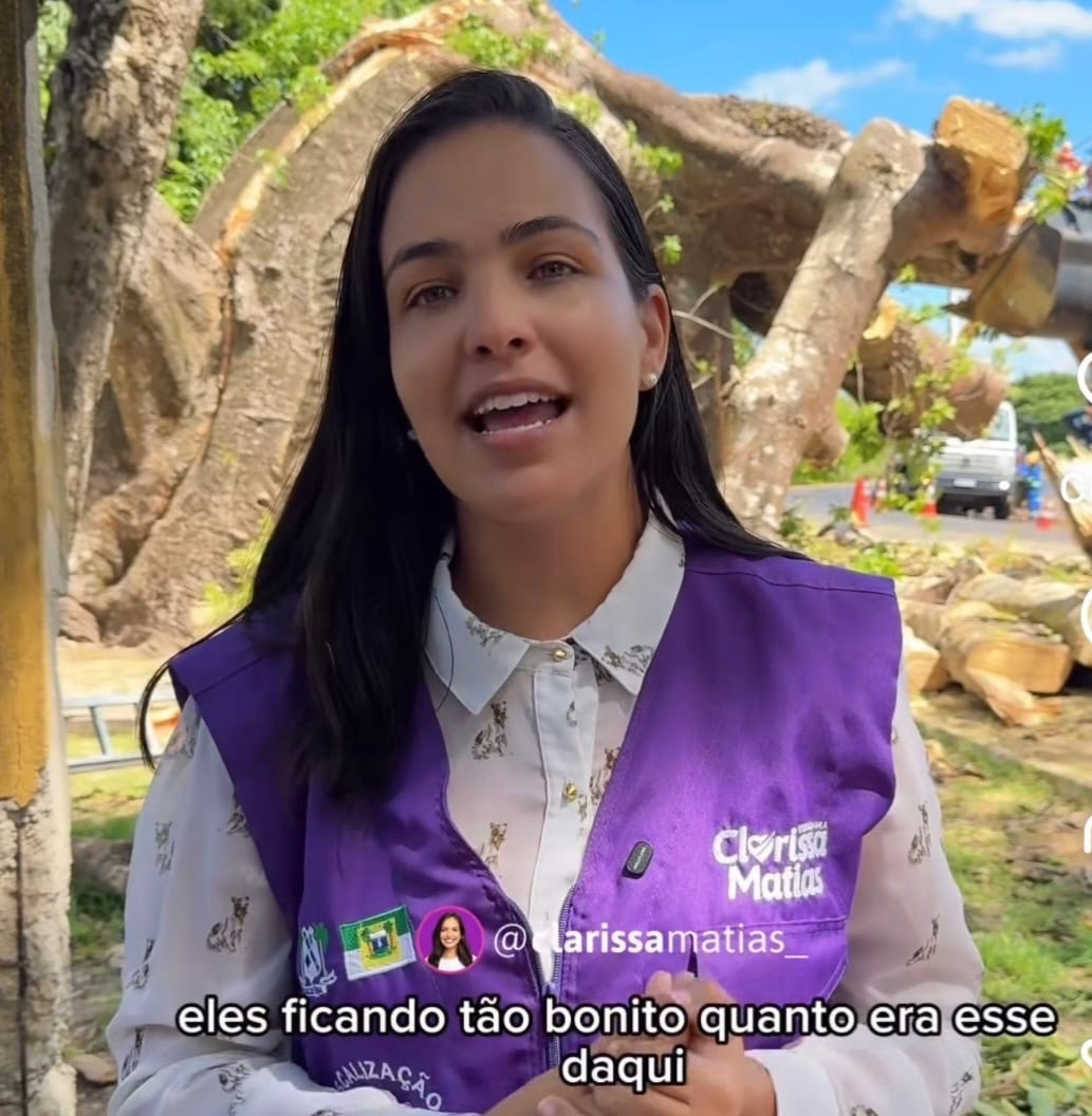 Omissão da Prefeitura provoca queda de Baobá histórico em Macaíba