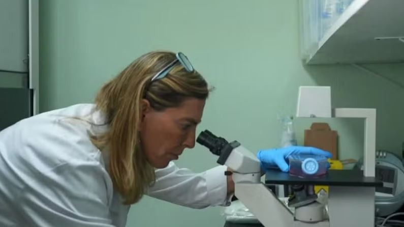 Pesquisadora admite falhas em estudo sobre polilaminina e anuncia revisão do artigo científico