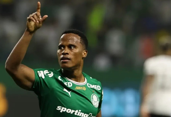 Palmeiras derrota Botafogo e assume liderança, Vasco vence clássico contra o Flu; veja resultados e classificação