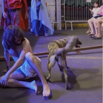 VÍDEO: cadela é adotada após invadir palco e "defender" Jesus na Paixão de Cristo