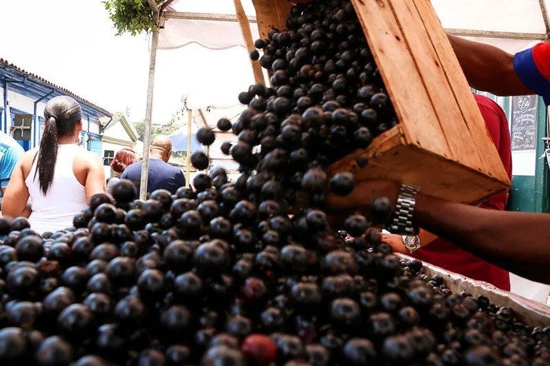 Três frutas brasileiras aparecem em ranking das 100 melhores do mundo; veja quais
