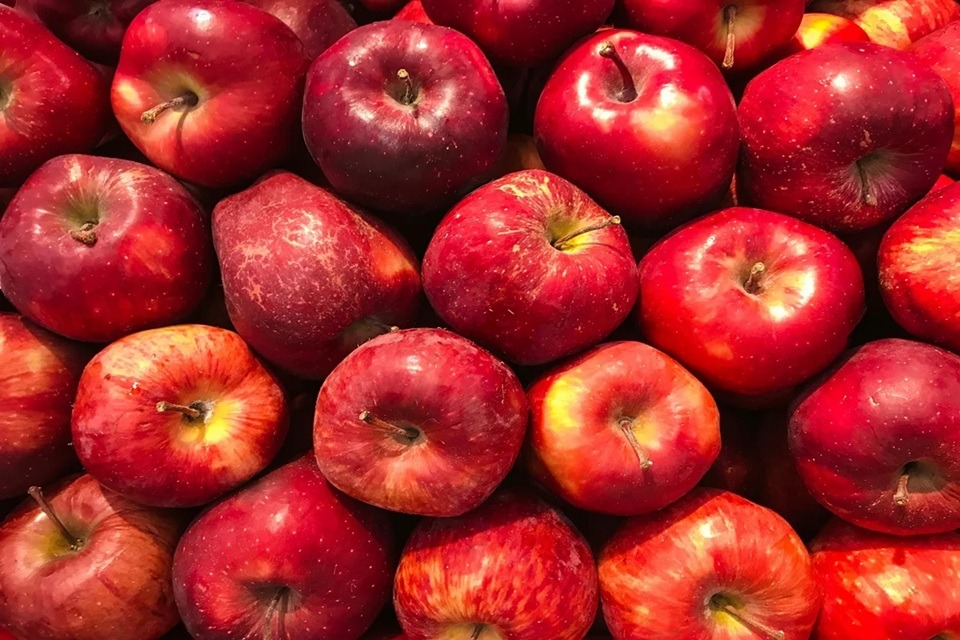 Fruta popular deveria ser consumida todo dia por beneficiar o cérebro