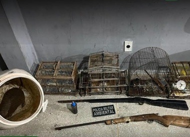 Polícia encontra aves silvestres e tatupeba em cativeiro ilegal no interior do RN