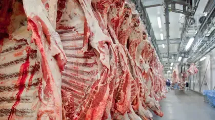 Brasil vai atender novas exigências da União Europeia para manter exportação de carnes