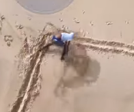 VÍDEO: Indivíduo tenta apagar siglas de facção antes da chegada da polícia no Morro do Careca em Natal