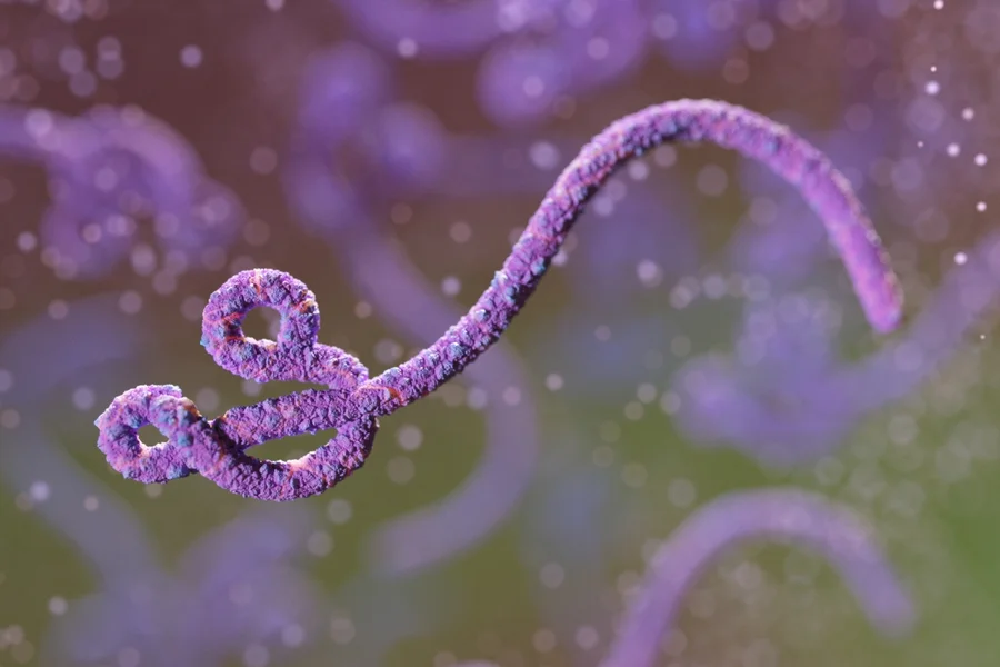 Paciente com suspeita de Ebola em SP é diagnosticado com meningite, mas caso segue sob investigação