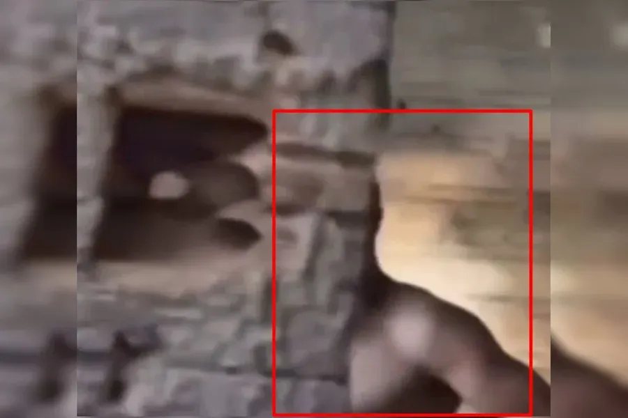 VÍDEO: “R$ 30 o motel, ali”, diz PM ao flagrar casal no nheco-nheco