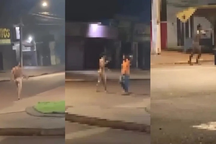 Homem sai nu pelas ruas, invade casa e tenta atacar mulher 