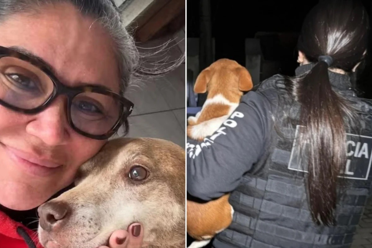 Ex-secretária é presa em operação que apura "eutanásia via pix" de quase 500 animais 