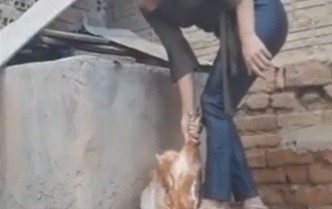 Mulher é presa suspeita de vender vídeos de maus-tratos e mortes de animais no interior do RN