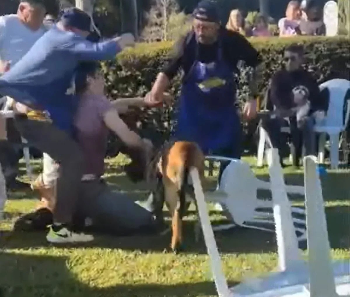 [VÍDEO] Discussão por focinheira de cão acaba em pancadaria generalizada em parque