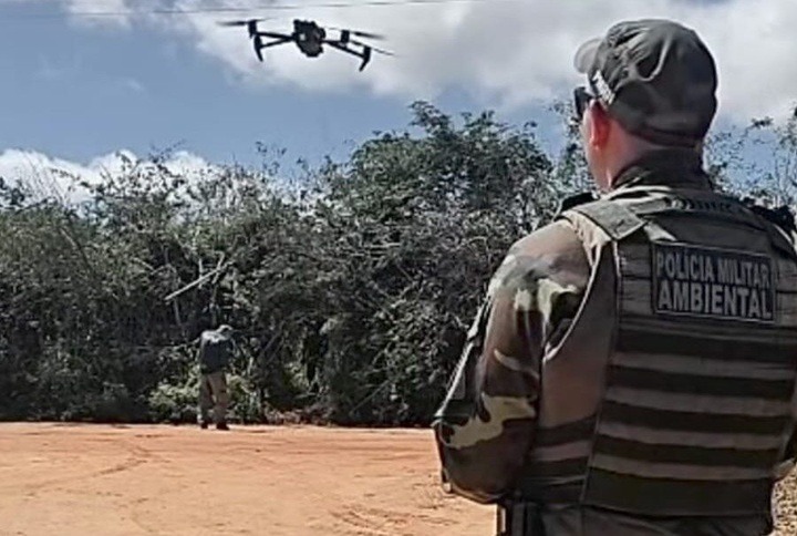 Operação apreende 120 arribaçãs abatidas no Seridó do RN