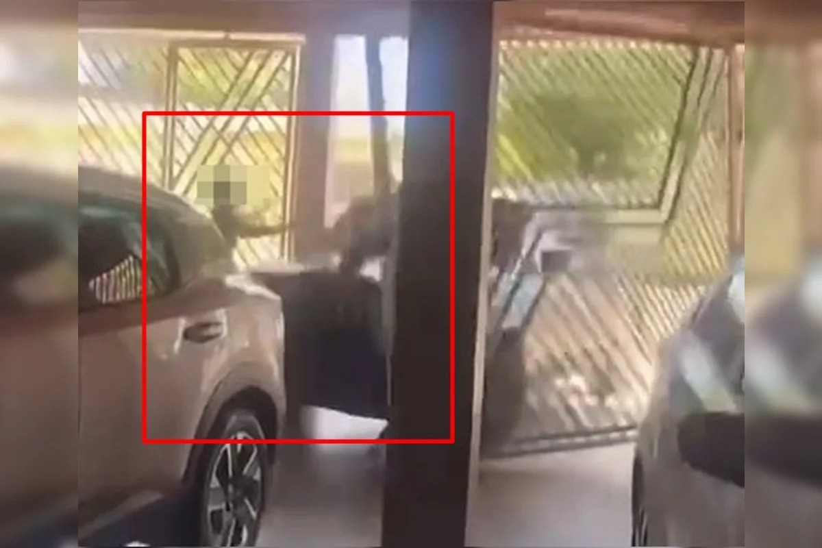 [VÍDEO] Vídeo mostra estudante de medicina invadindo casa, atropelando idoso e fugindo após o crime; assista
