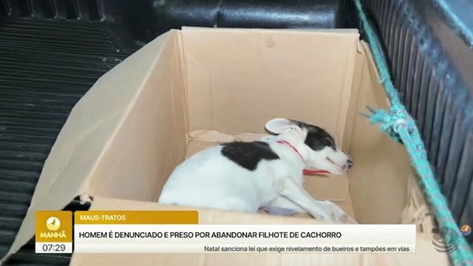 Homem é preso por suspeita de maltratar filhote de cachorro e desacatar policiais em Natal
