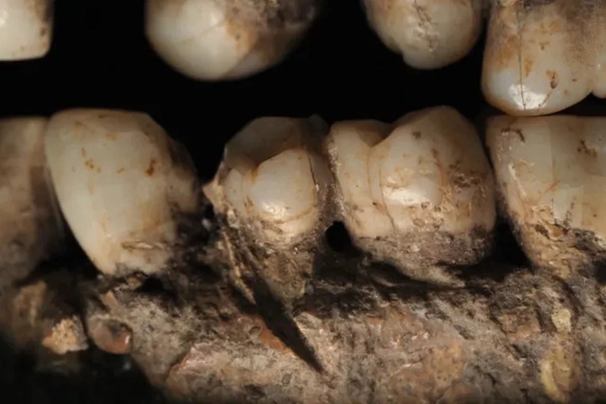 Homo sapiens esfaqueado há 100 mil anos é achado em caverna 
