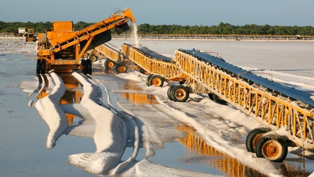 Tarifa dos EUA ameaça exportações de sal do RN e coloca 4 mil empregos em risco