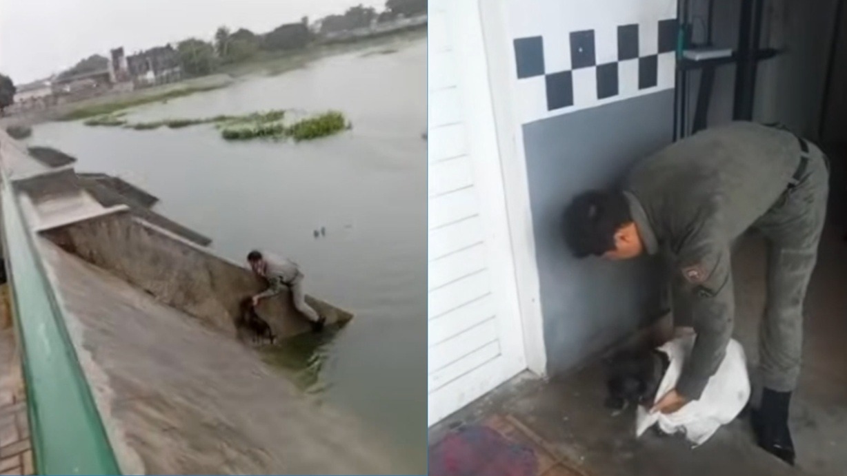 Policiais militares resgatam cachorro preso em lagoa de captação na Zona Norte de Natal