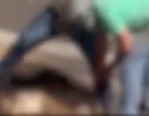 [VÍDEO] Crueldade sem limites: homem ateia fogo em cadela viva para atingir a ex