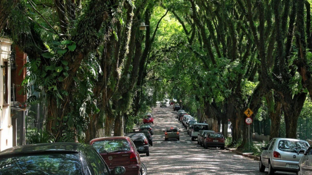 A rua brasileira considerada a mais bonita do mundo que forma um túnel verde com 156 árvores