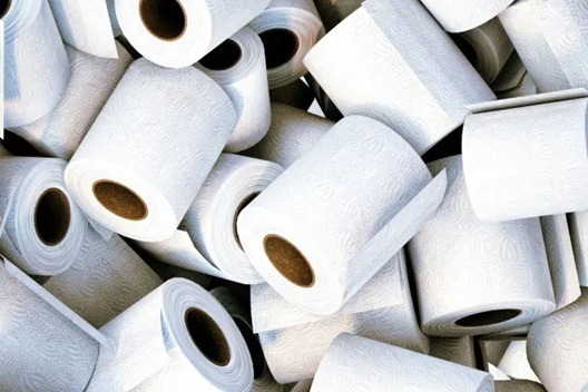 Jogar papel higiênico no vaso sanitário ou no lixo: o que é correto e por que é recomendado