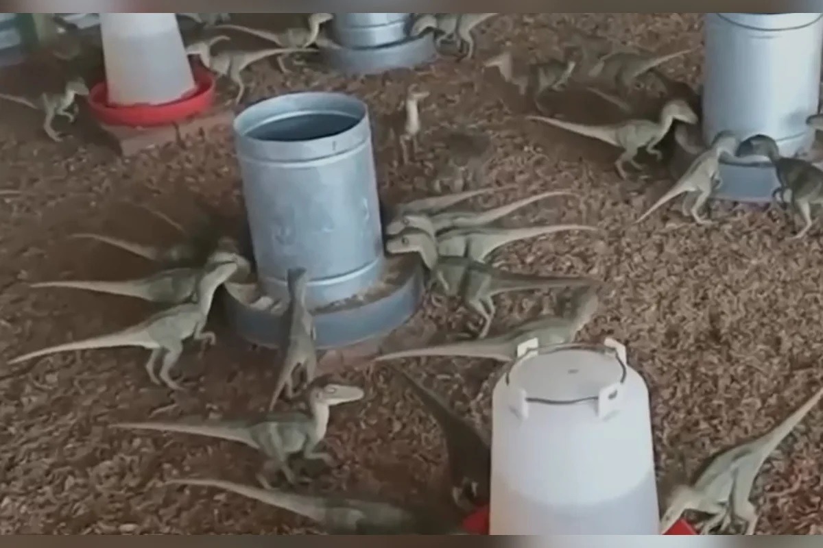 Homem quase paga R$ 500 por “mini dinossauro” anunciado no WhatsApp com imagens de IA