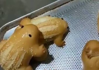 [VÍDEO] Padaria de Mossoró viraliza ao produzir pães em formato de sapo; veja