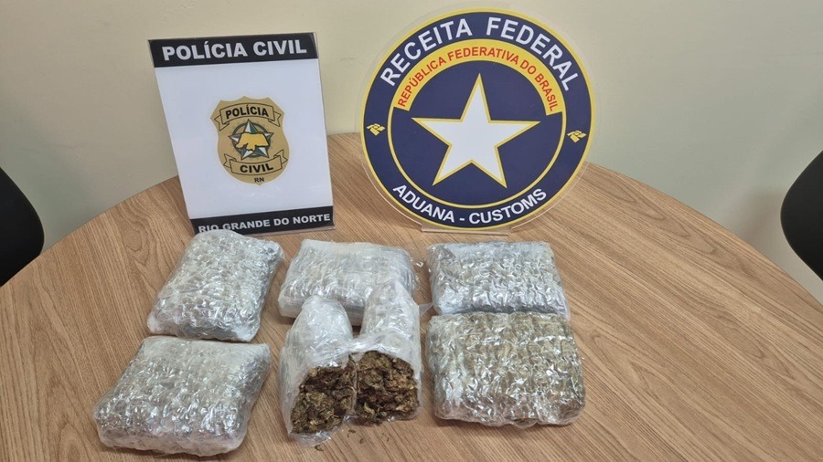 Cão da Receita Federal identifica drogas em encomenda durante fiscalização em Parnamirim