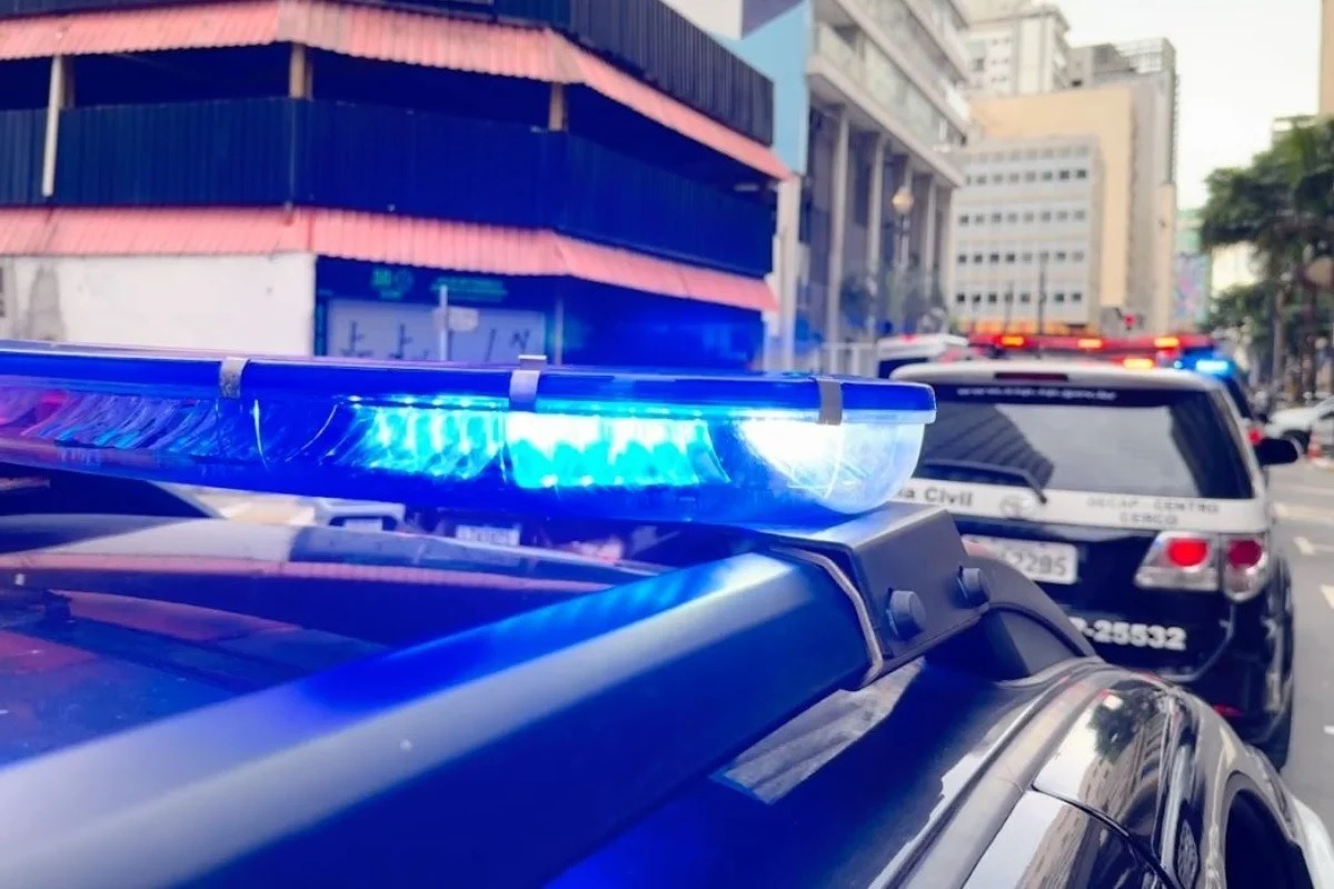 Adolescente é apreendido acusado de matar mais de 200 filhotes de gatos em transmissões online